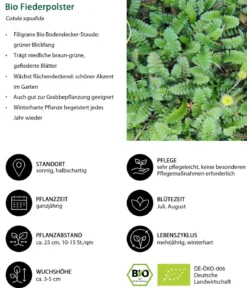 Bio Fiederpolster