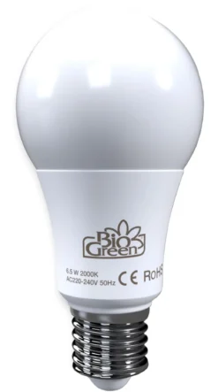 Bio Green LED-Birne Flora-Booster 500