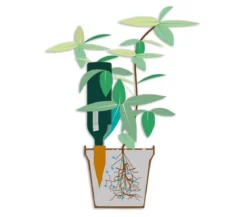 Bio Green Tonkegel Hydro Wine