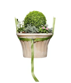 Bio Green Tragegurt für Kübelpflanzen, grün, ca. L250/B3,5 cm