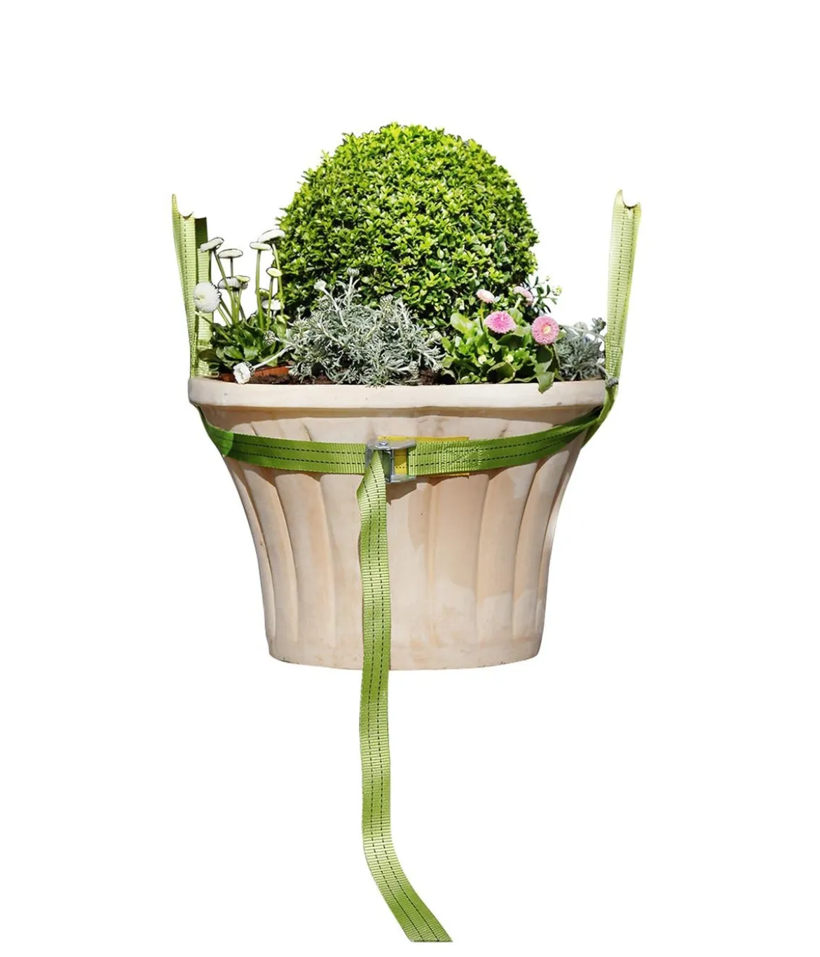 Bio Green Tragegurt für Kübelpflanzen, grün, ca. L250/B3,5 cm