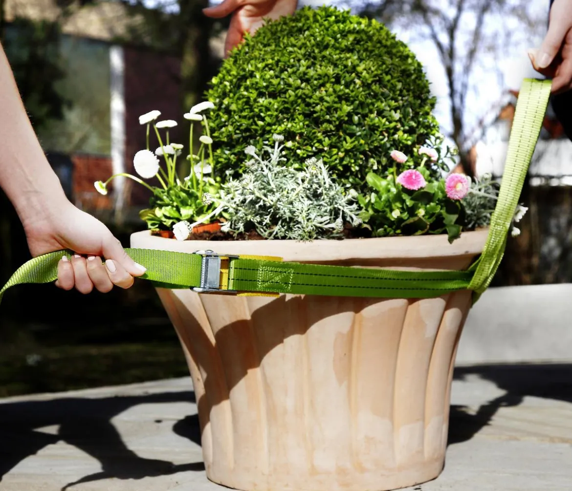 Bio Green Tragegurt für Kübelpflanzen, grün, ca. L250/B3,5 cm