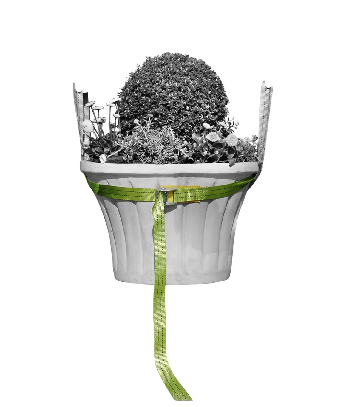 Bio Green Tragegurt für Kübelpflanzen, grün, ca. L250/B3,5 cm