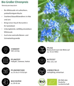 Bio Großer Ehrenpreis