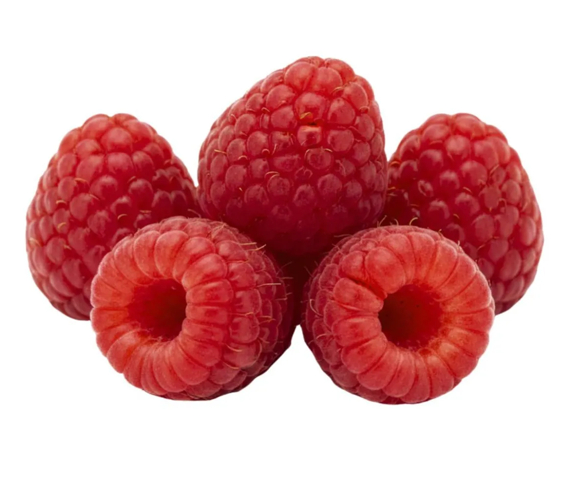Bio Himbeere 'Autumn Belle'®