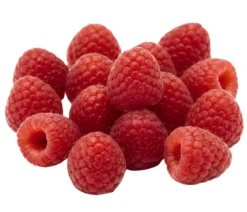 Bio Himbeere 'Sanibelle'®