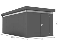 Biohort Gerätehaus CasaNova® 3 x 6, ca. B328/H250/T628 cm