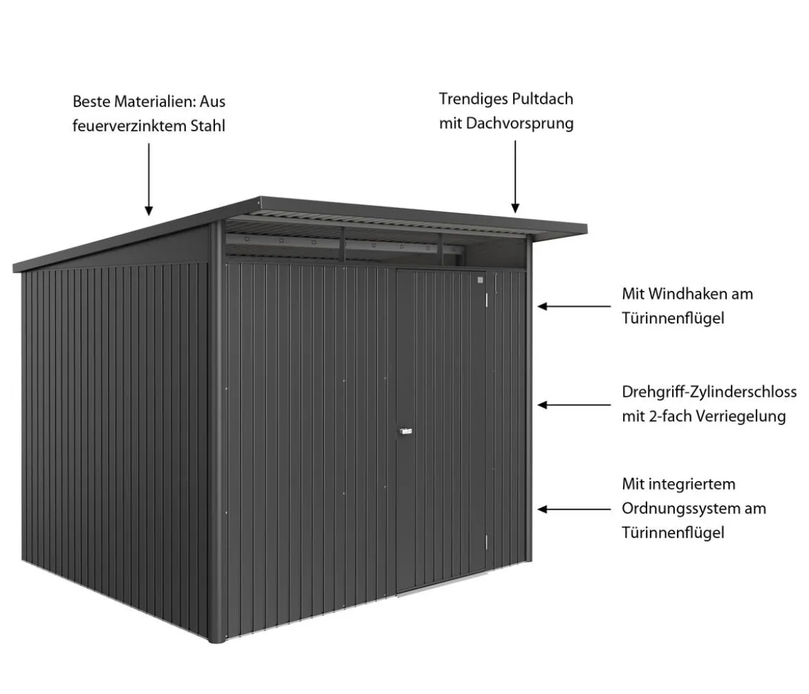 Biohort Metallgerätehaus AvantGarde ECO A6, ca. B260/H218/T260 cm