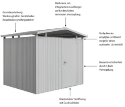 Biohort Metallgerätehaus Panorama® P3, ca. B273/H227/T238 cm