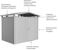 Biohort Metallgerätehaus Panorama® P2, ca. B273/H227/T198 cm
