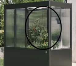 Biohort Rankhilfe für Gewächshaus Florentina