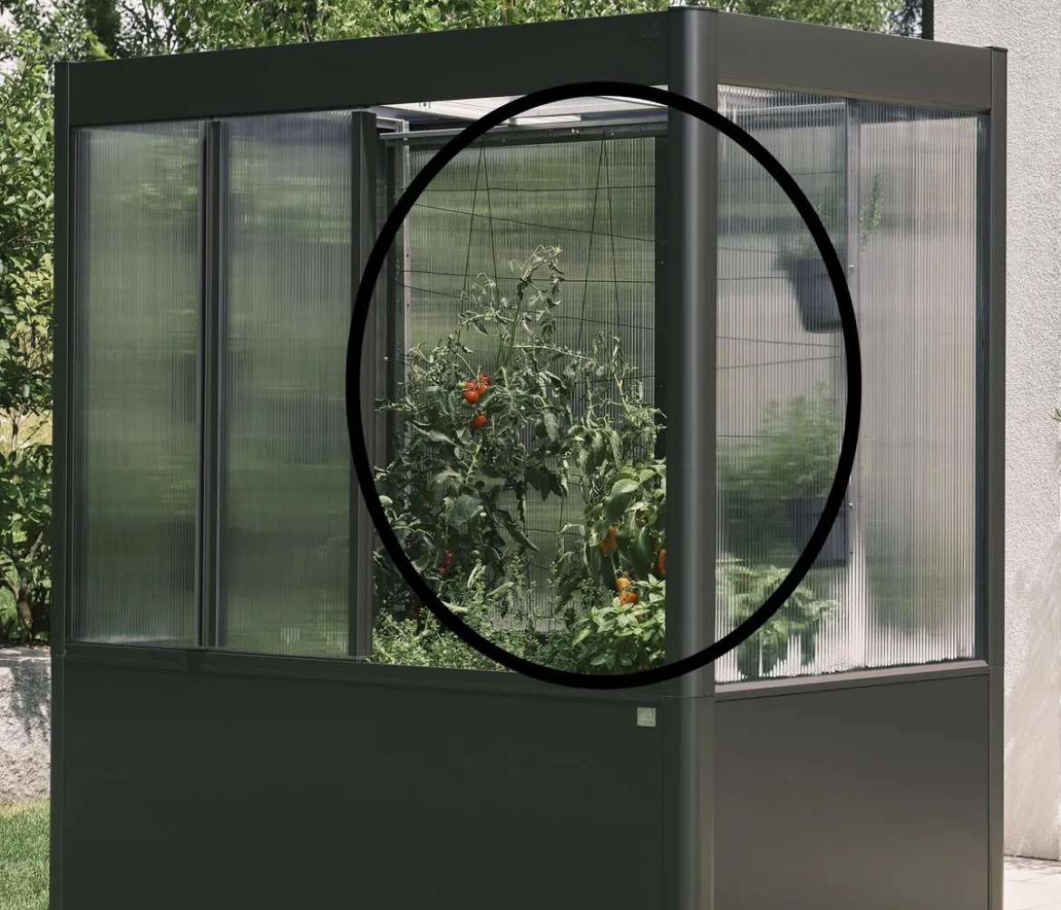 Biohort Rankhilfe für Gewächshaus Florentina