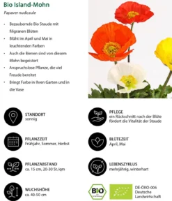 Bio Island-Mohn