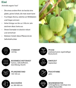 Bio Kiwi 'Issai'
