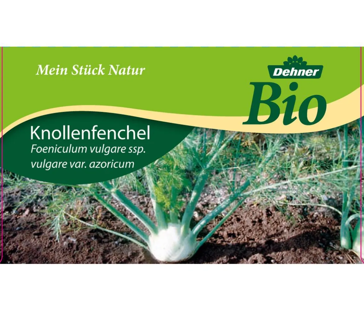 Bio Knollenfenchel, 6er Schale