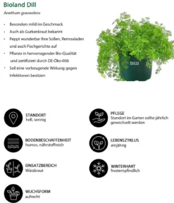 Bioland Dill