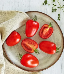 Bioland Eiertomate