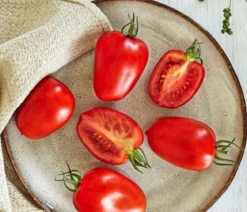 Bioland Eiertomate