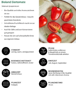 Bioland Eiertomate
