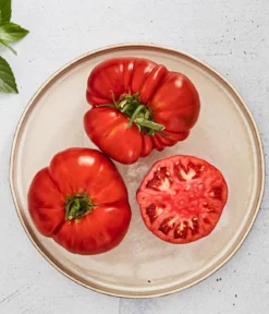 Bioland Fleischtomate
