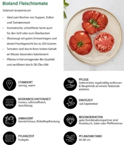 Bioland Fleischtomate