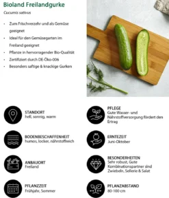 Bioland Gemüseset Gemüsetraum, 6-teilig