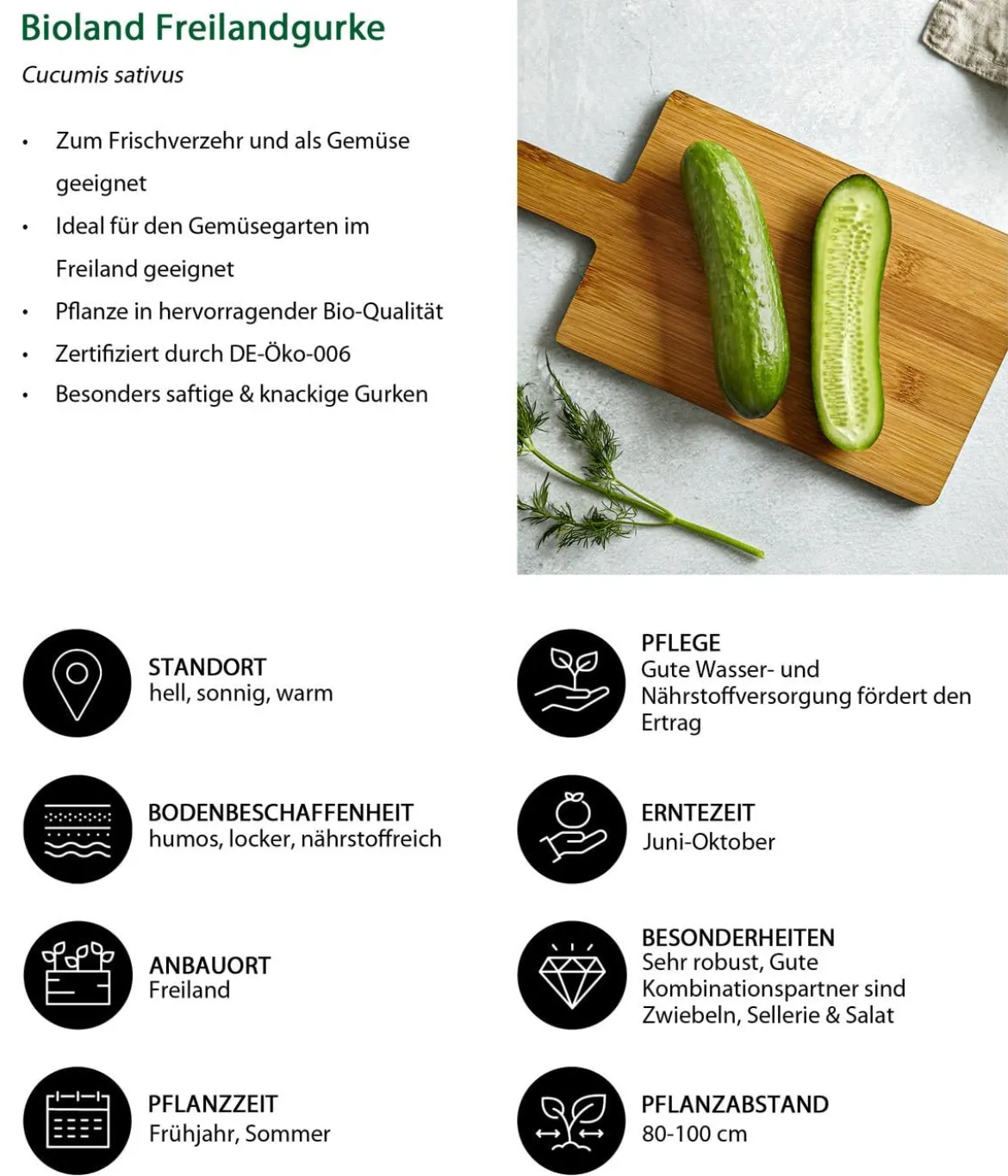 Bioland Gemüseset Gemüsetraum, 6-teilig