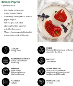Bioland Gemüseset Gesunde Mischung, 3-teilig
