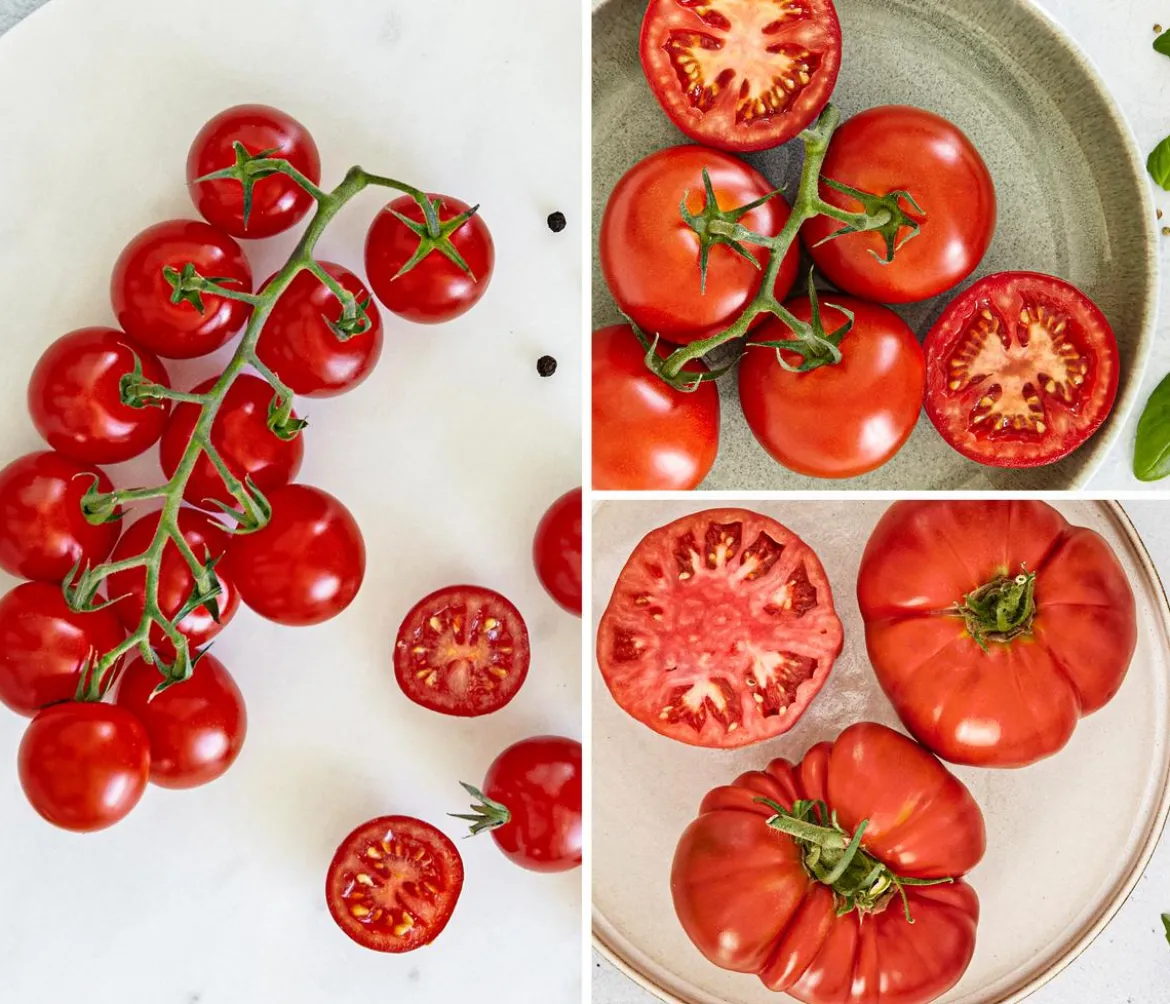 Bioland Gemüseset Tomatensalat, 3-teilig