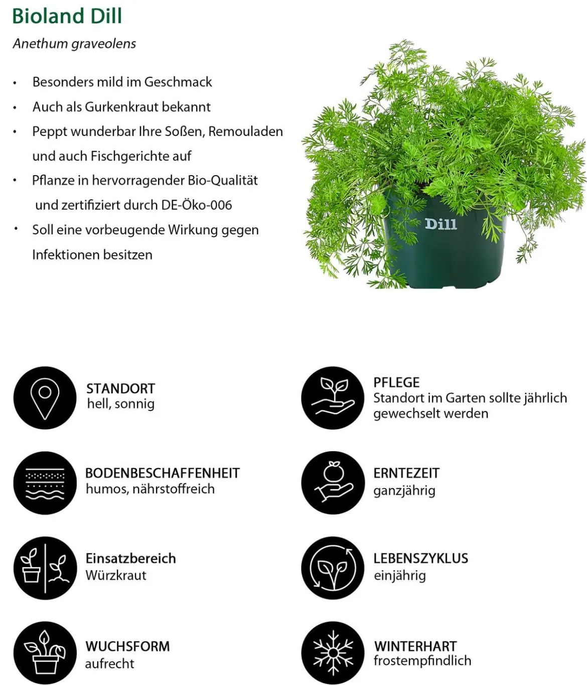 Bioland Nutzgarten-Set Gute Nachbarschaft, 6-teilig