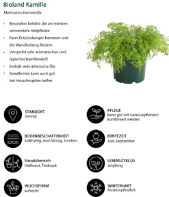 Bioland Nutzgarten-Set Gute Nachbarschaft, 6-teilig