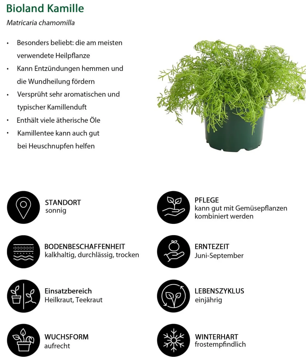 Bioland Nutzgarten-Set Gute Nachbarschaft, 6-teilig
