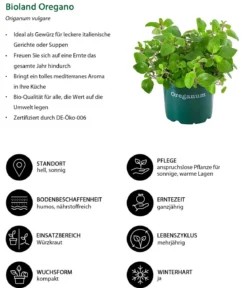 Bioland Oregano