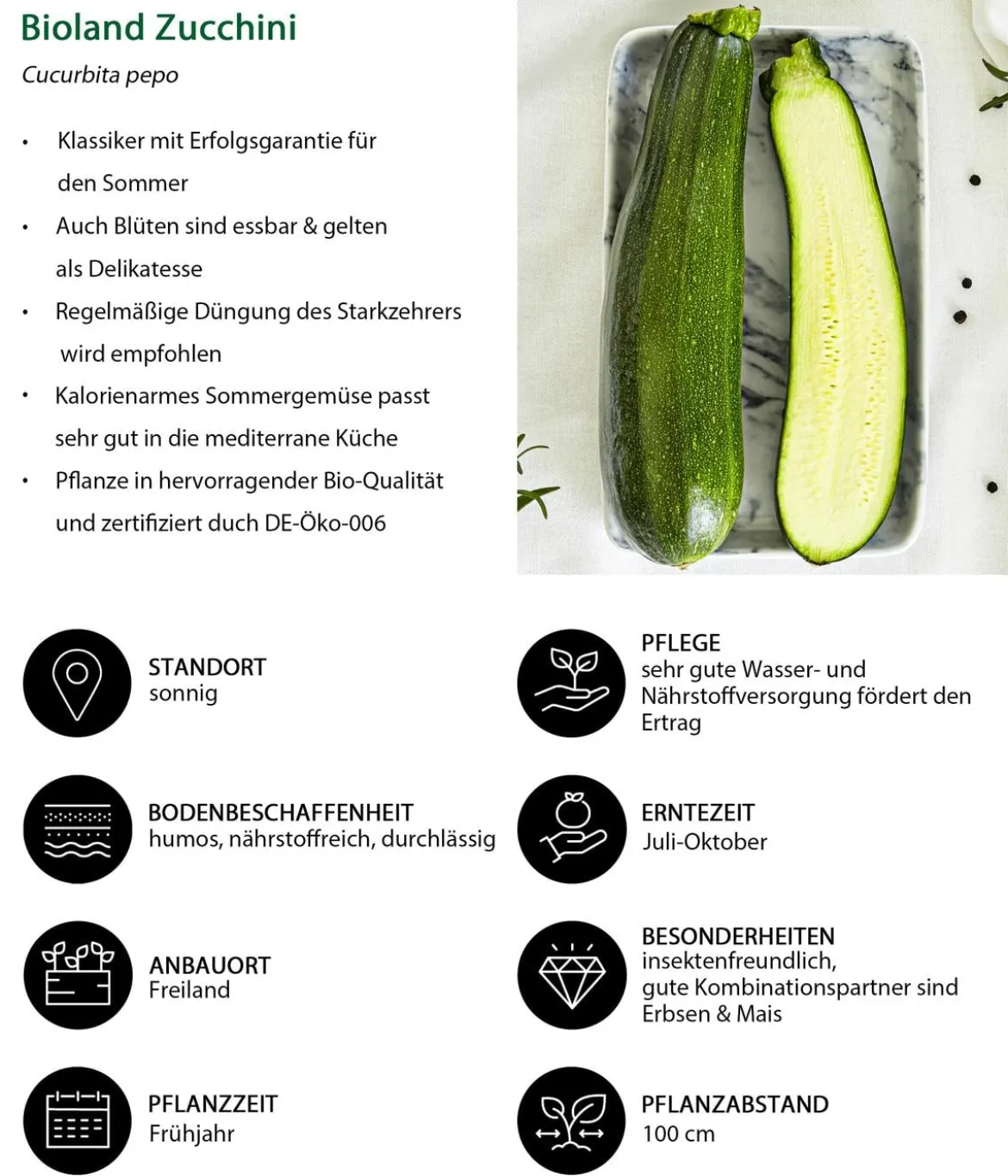 Bioland Zucchini