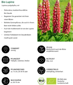 Bio Lupine, rot