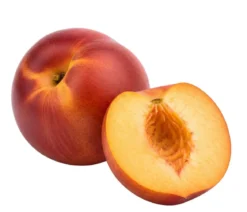 Bio Nektarine 'Nectared', Landlust Kollektion