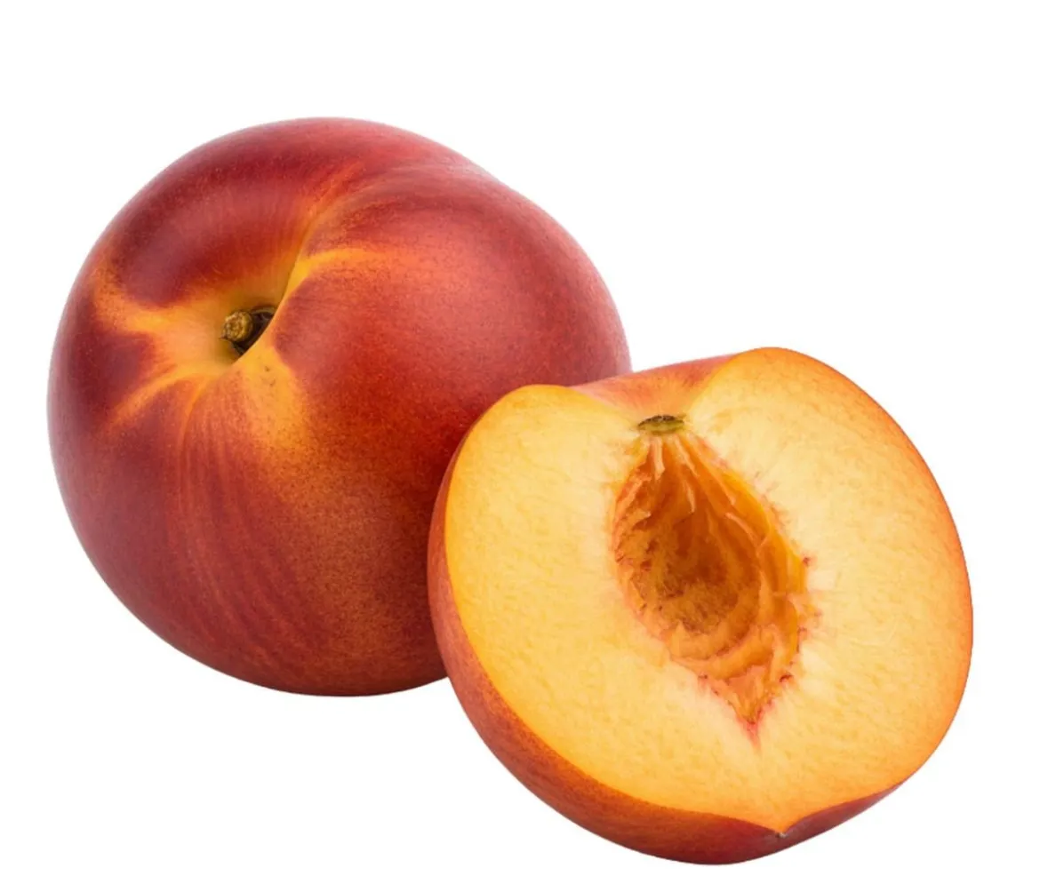 Bio Nektarine 'Nectared', Landlust Kollektion