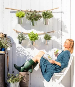Bio Oregano