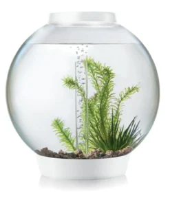biOrb® Aquarium Classic 30 MCR