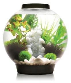 biOrb® Aquarium Classic 30 MCR