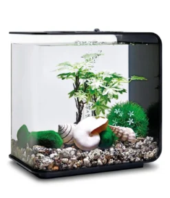 biOrb® Aquariumdeko Decor Set 15 l Sommer