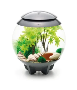 biOrb® Aquariumdeko Decor Set 15 l Sommer