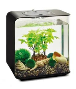biOrb® Aquariumdeko Decor Set 15 l Sommer