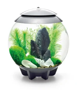 biOrb® Aquariumdeko Decor Set 30 l Stone Garden