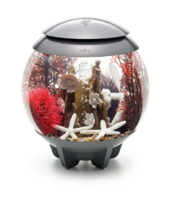 biOrb® Aquarumdeko Decor Set 15 l Red Forest