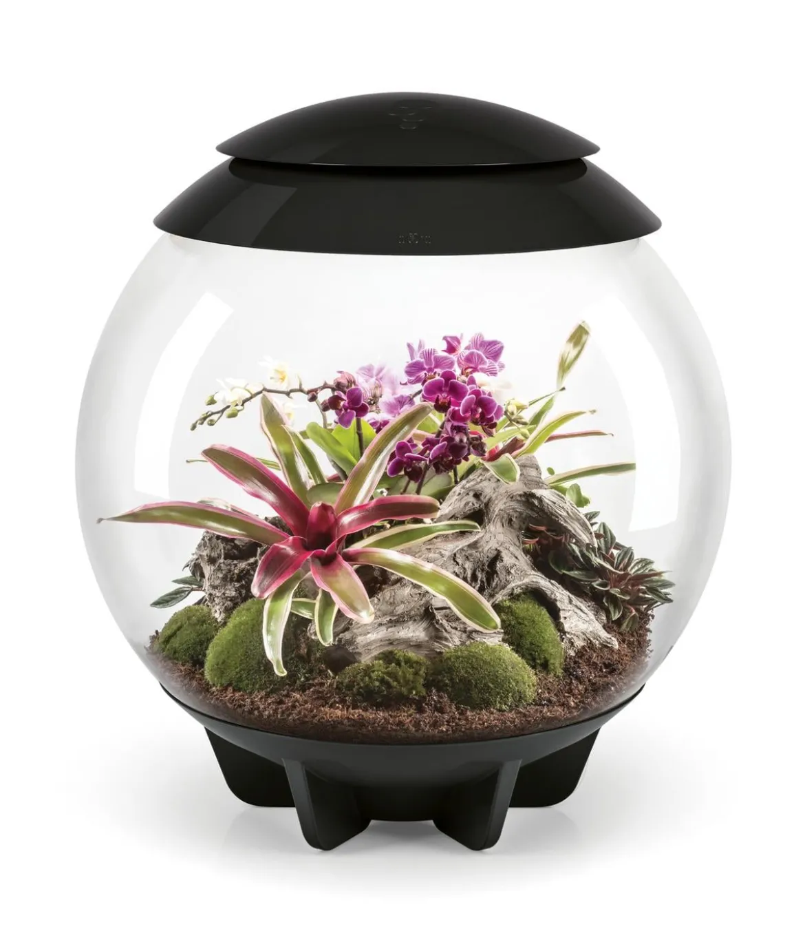 biOrb® Terrarium AIR 60