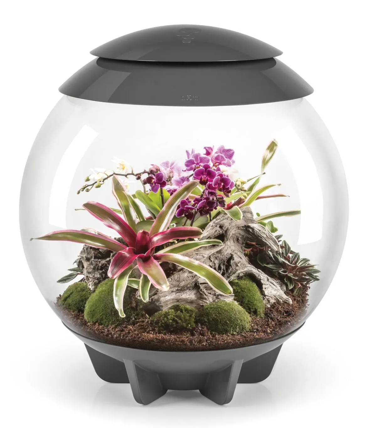 biOrb® Terrarium AIR 60