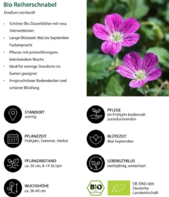 Bio Reiherschnabel