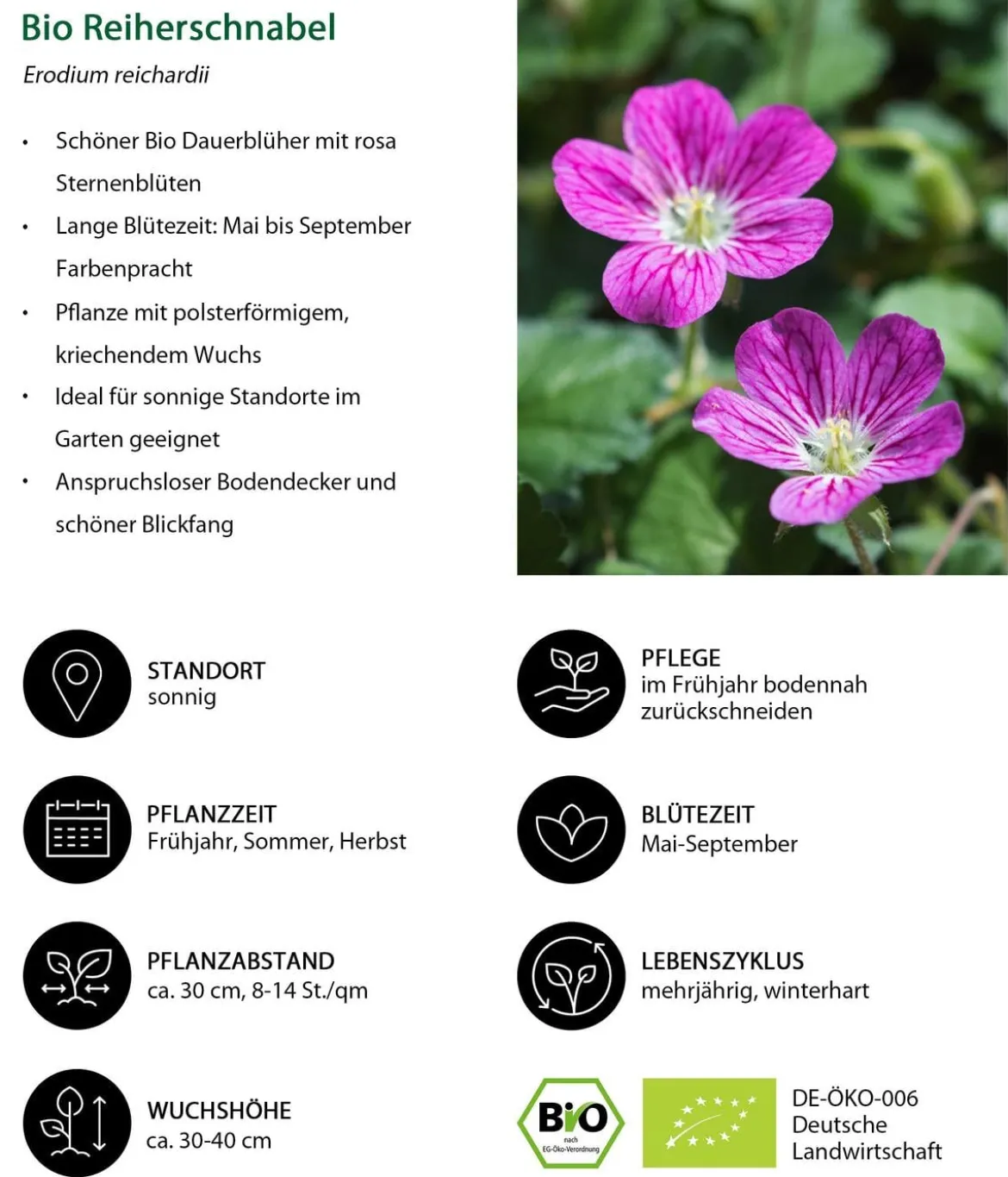 Bio Reiherschnabel