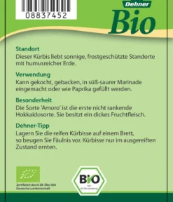 Bio Speisekürbis 'Hokkaido'